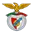 Escudo Benfica Academy