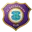 Escudo Erzgebirge Aue