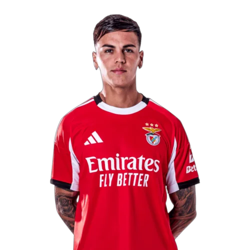 Enzo Barrenechea