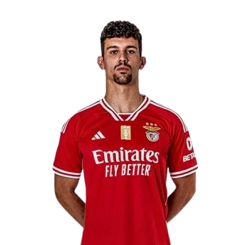 Tomás Araújo