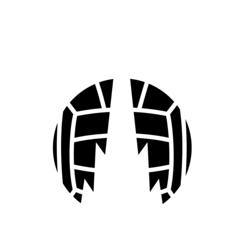 Logo Falkirk FC