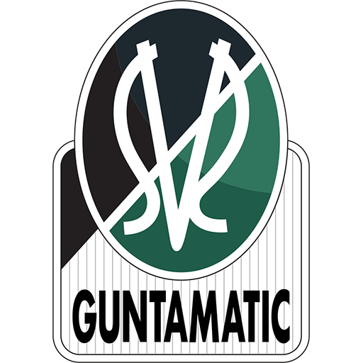 Escudo de SV Ried
