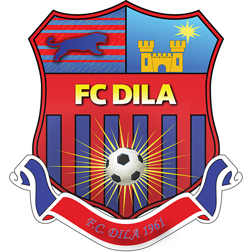 Escudo Dila Gori