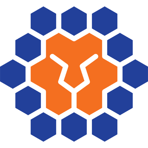 Logo Queensland Lions FC