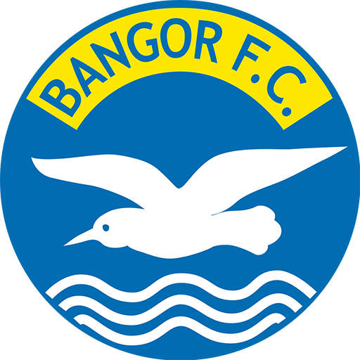 Escudo Bangor